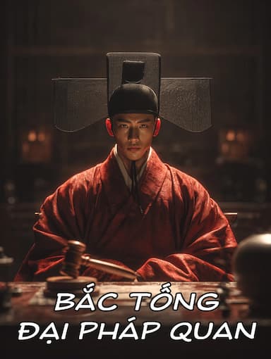Bắc Tống Đại Pháp Quan