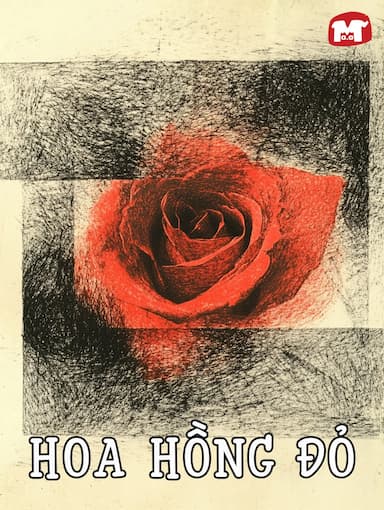 Hoa Hồng Đỏ