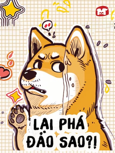 Lại Phá Đảo Sao?!